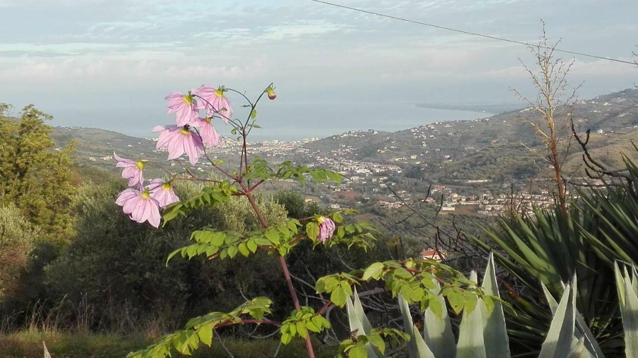 Casale San Martino Bed & Breakfast Laureana Cilento Exterior photo